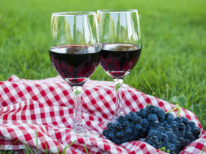 Домашнее вино из винограда - Изабелла