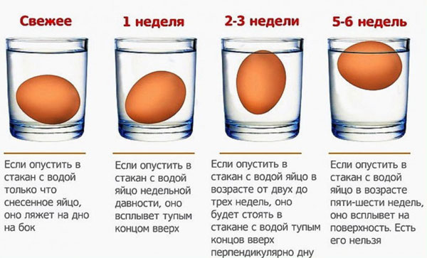 Проверяем свежесть сырых яиц в воде в домашних условиях