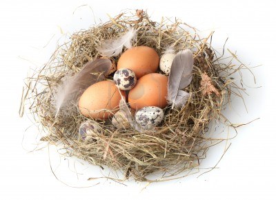 Яйца куриные и перепелиные: кто кого