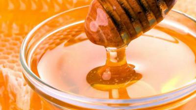 Мед и алоэ для желудка: рецепты, особенности употребления, эффективность, отзывы