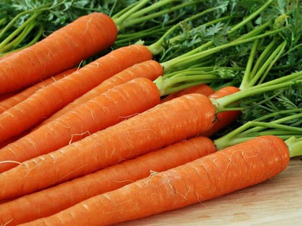 Совет 1: Как правильно сеять морковь