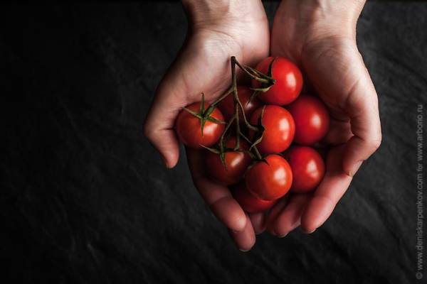 Как хранить помидоры: правда и вымысел