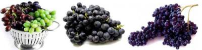 Какие витамины содержатся в винограде, и чем он полезен