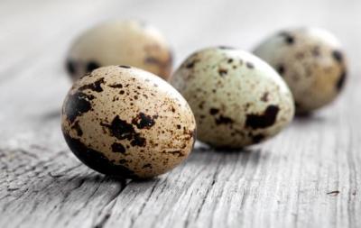 Скорлупа перепелиных яиц: полезные свойства, как принимать, отзывы