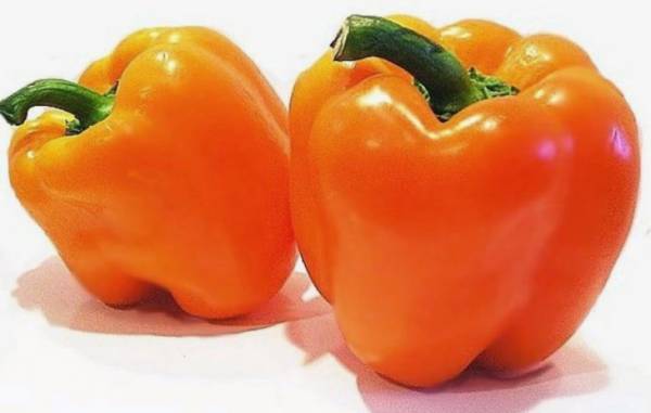 Перец «Оранжевое чудо»: описание и выращивание