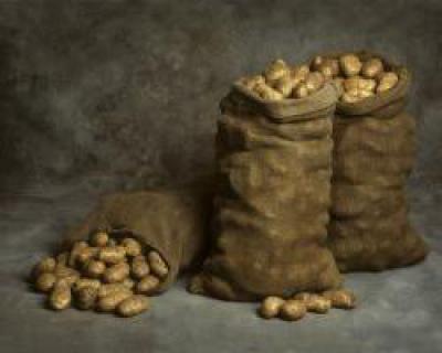 При какой температуре хранить картофель? Хранение картофеля в домашних условиях