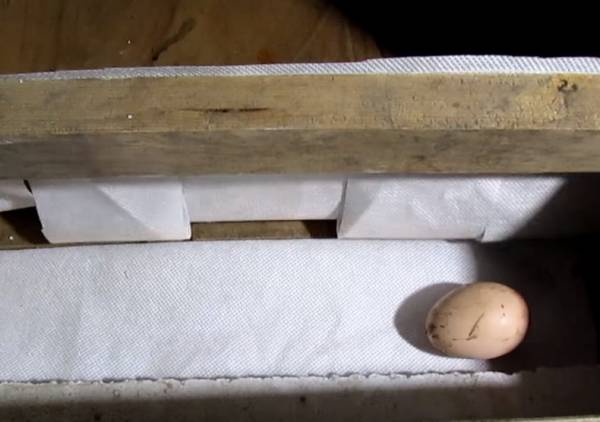 Как сделать гнездо для кур с яйцесборником своими руками: пошаговая инструкция