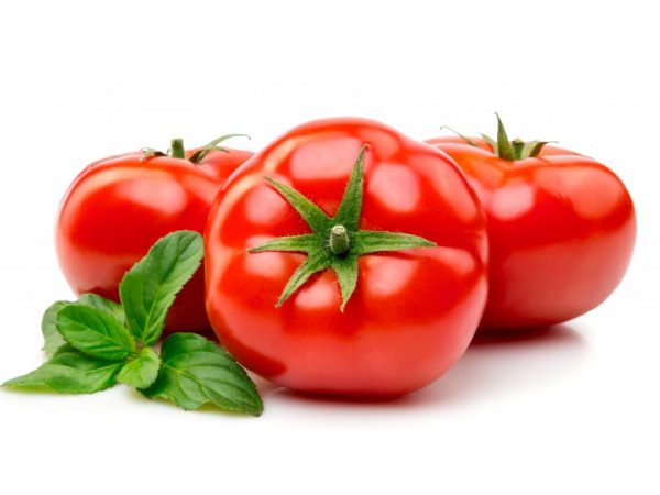 Как можно сохранить помидоры свежими