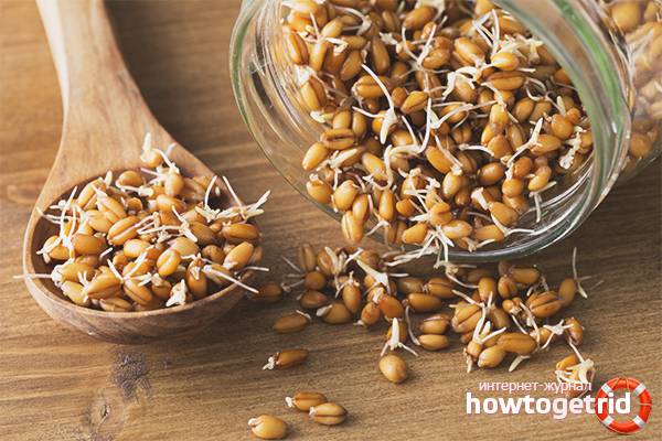 Как употреблять пророщенную пшеницу