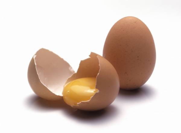 Что влияет на цвет яиц, которые дает курица