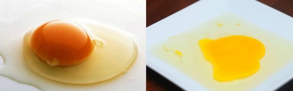 Как определить свежесть яиц в домашних условиях