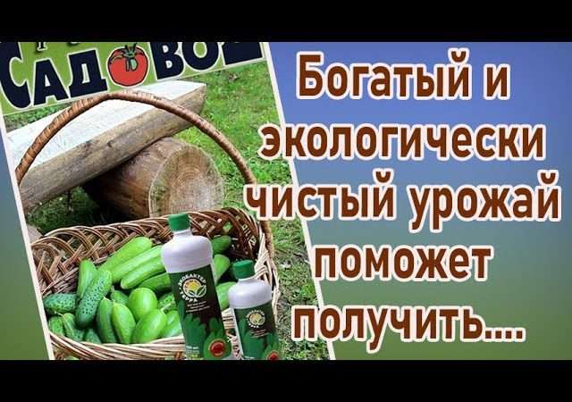 Биоудобрения: Экологичный путь к богатому урожаю