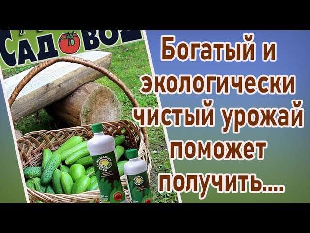 Биоудобрения: Экологичный путь к богатому урожаю
