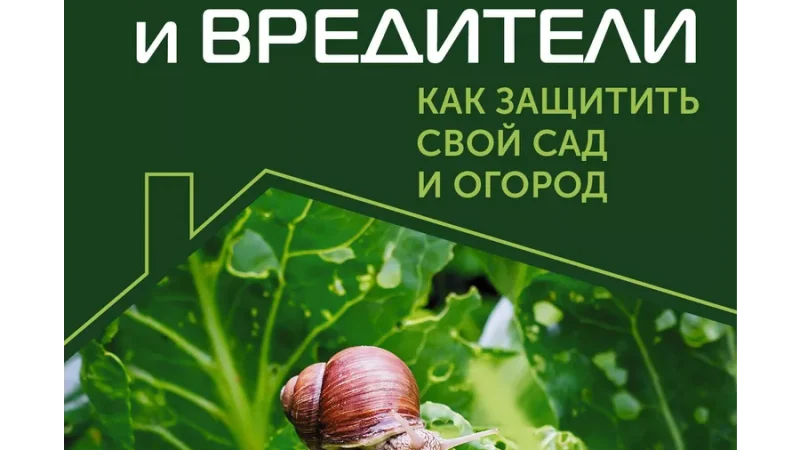 Болезни и вредители растений: как защитить свой сад и огород