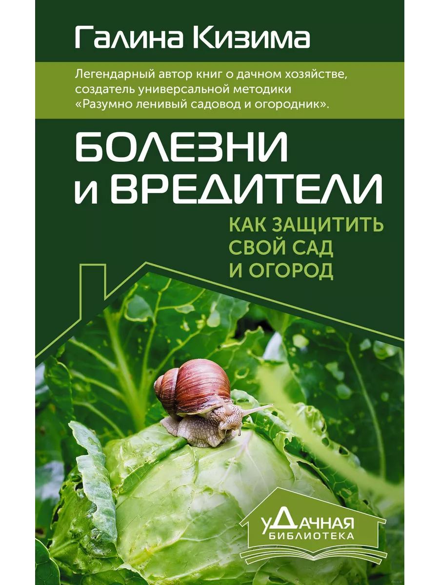 Болезни и вредители растений: как защитить свой сад и огород