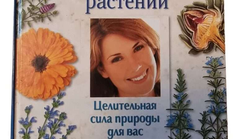 Целебная Сила Природы: Обзор Лекарственных Растений