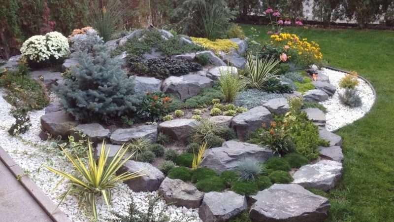 Цветники и клумбы с камнями: создание и оформление