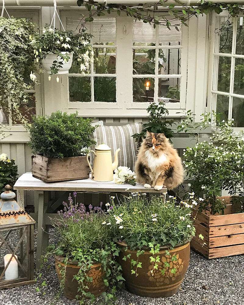 Цветочный дизайн дачного участка: создаем райский уголок своими руками