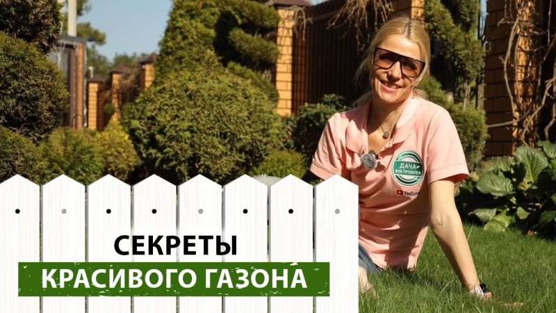 Газон для ленивых дачников: создаем красивый газон своими руками без лишних усилий