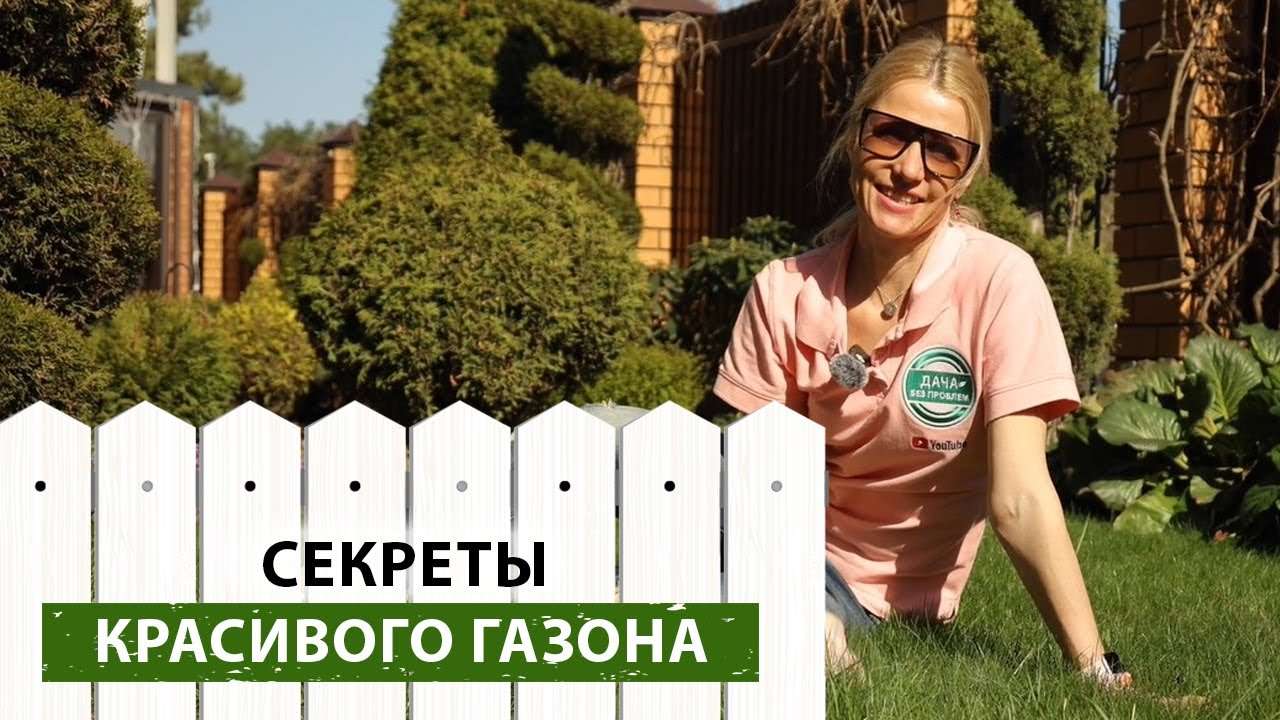 Газон для ленивых дачников: создаем красивый газон своими руками без лишних усилий