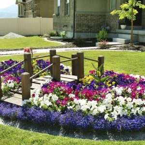 Идеи для оригинальных клумб и цветников своими руками