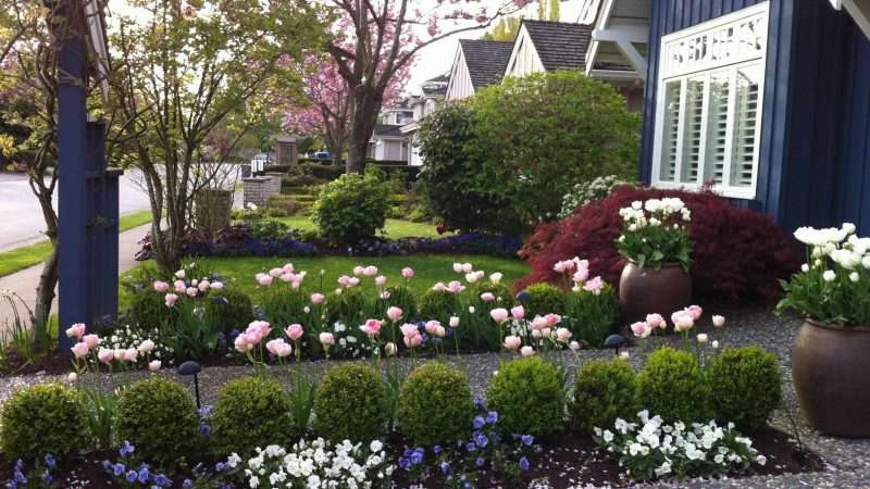 Идеи и вдохновляющие фотографии цветников и клумб для дачи