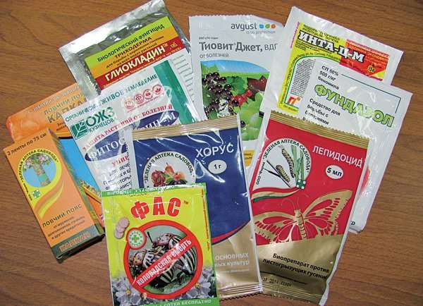 Эффективный препарат от болезней для растений