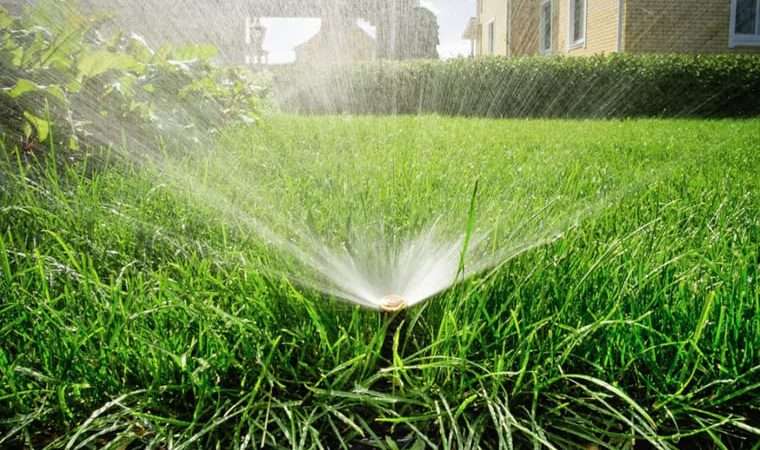 Как правильно поливать газон советы и рекомендации