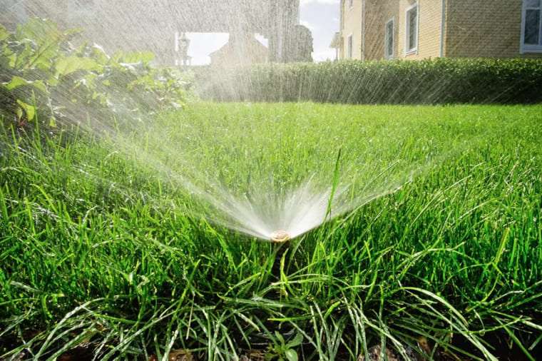 Как правильно поливать газон советы и рекомендации