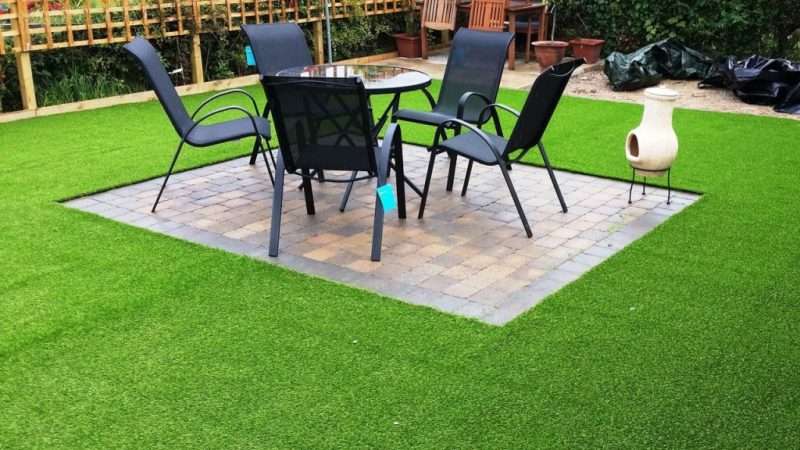 Как выбрать газон для дачи