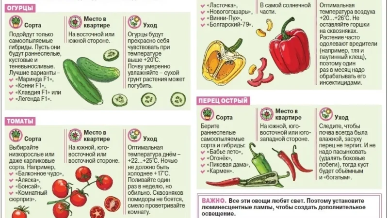 Как вырастить овощи дома: подробное руководство для начинающих