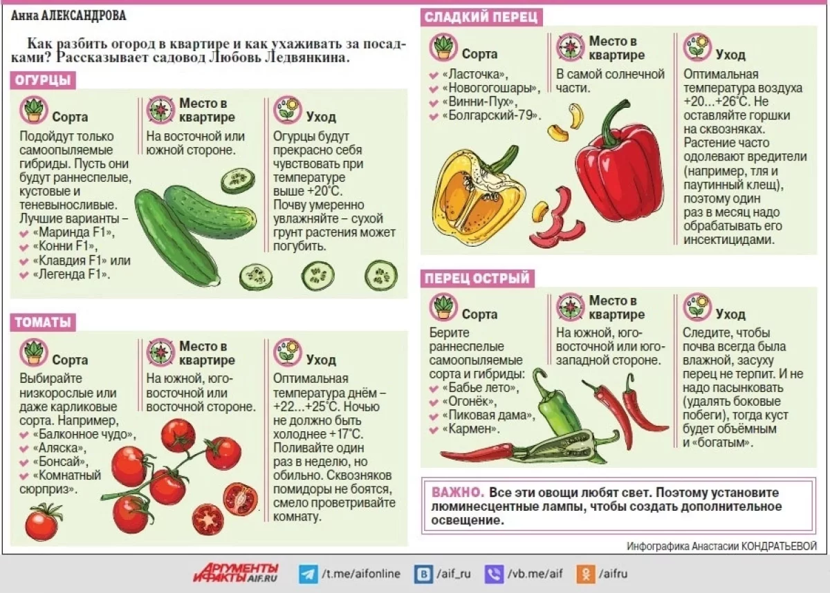 Как вырастить овощи дома: подробное руководство для начинающих