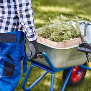 Какой инвентарь сделает вашу работу на даче максимально комфортной и эффективной