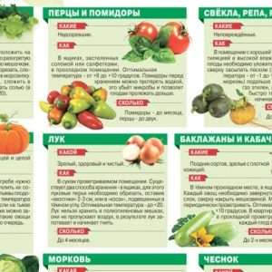 Лучшие сорта овощей для хранения зимой