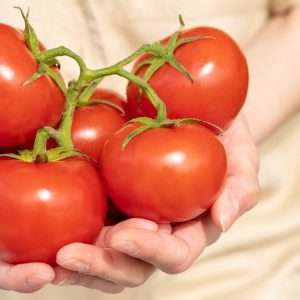 Лучшие сорта овощей для Урала: советы по выращиванию и уходу