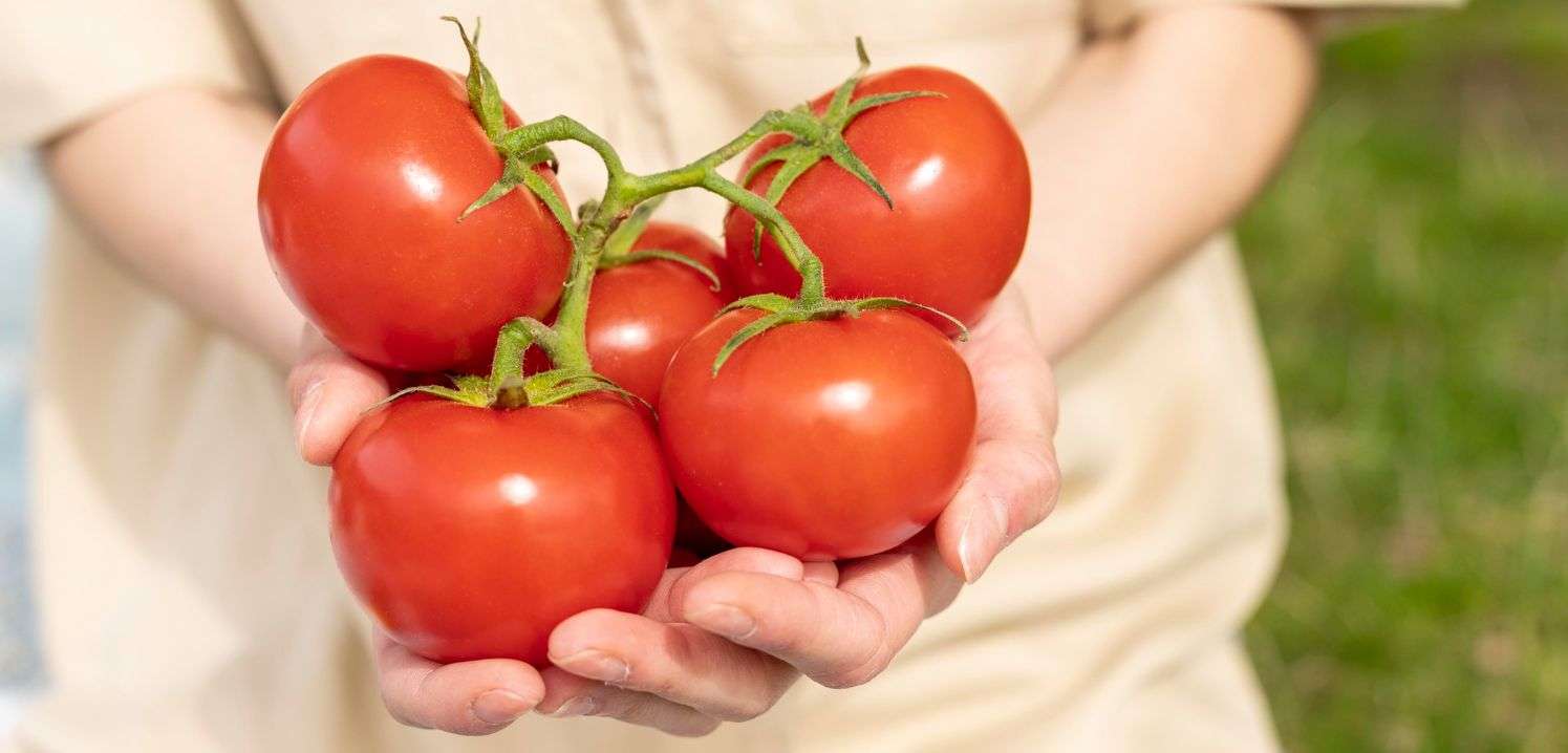 Лучшие сорта овощей для Урала: советы по выращиванию и уходу