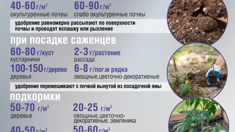 Минеральные удобрения: ключ к здоровью почвы и обильному урожаю