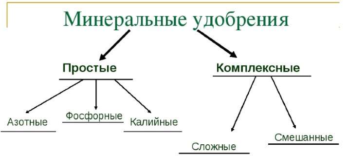 Минеральные удобрения почв: состав, классификация и применение