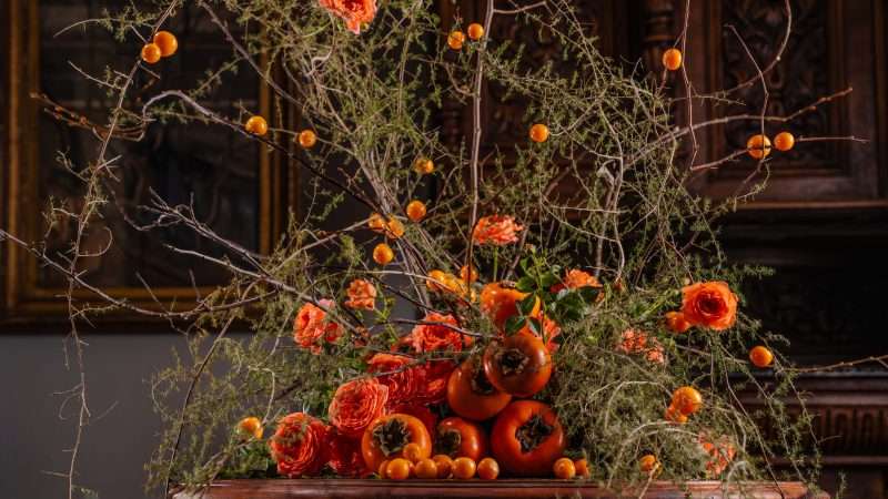 Мир цветов для выращивания: Создаем свой цветущий рай