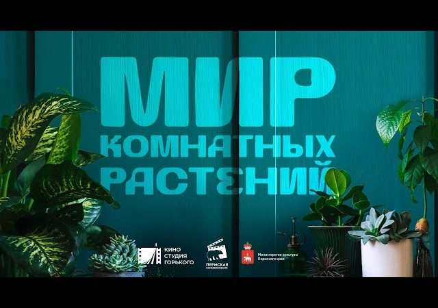 Мир домашних цветов