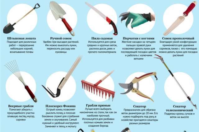 Необходимые инструменты для дачи: Полный список и советы по выбору