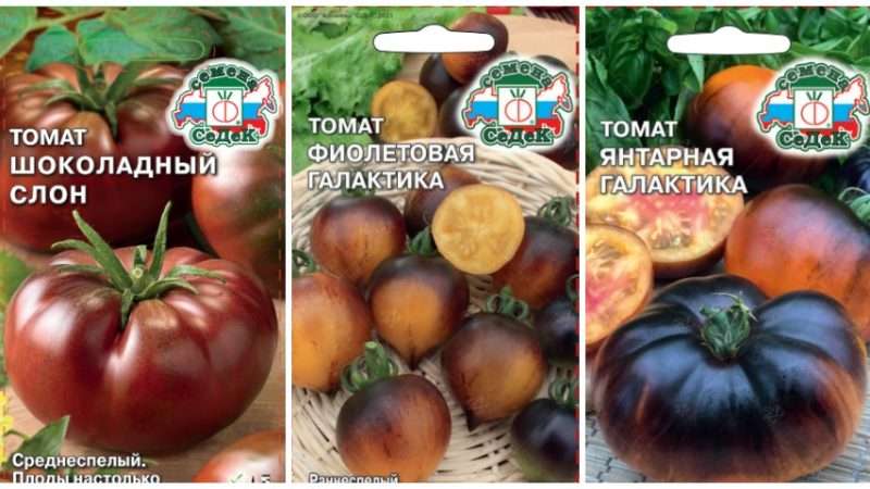 Новинки в мире овощеводства: обзор самых перспективных сортов и семян