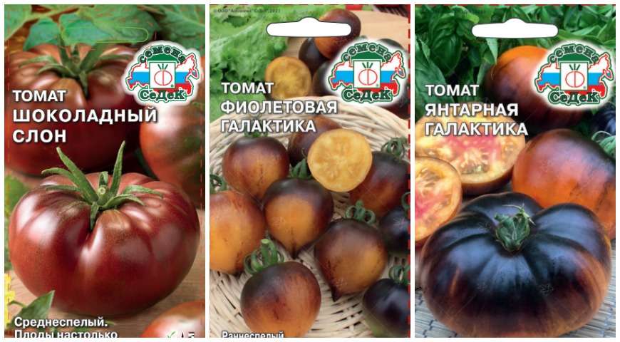 Новинки в мире овощеводства: обзор самых перспективных сортов и семян