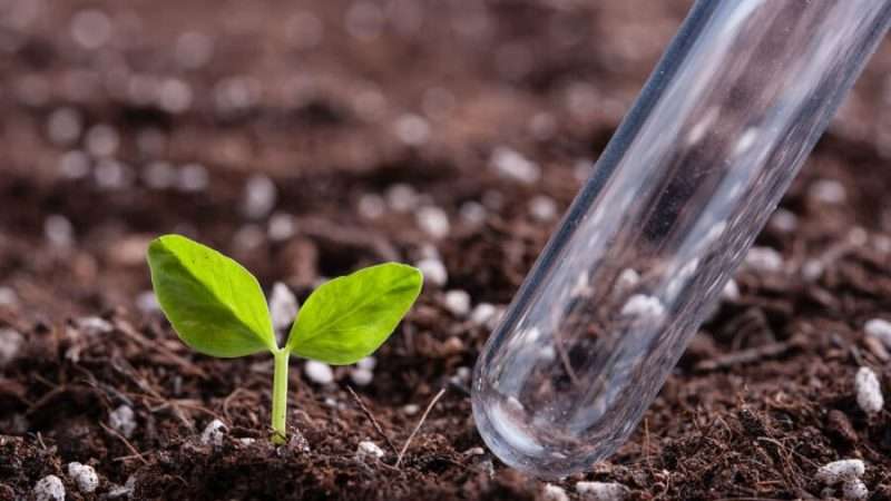 Обработка почвы удобрениями: значение, виды и применение