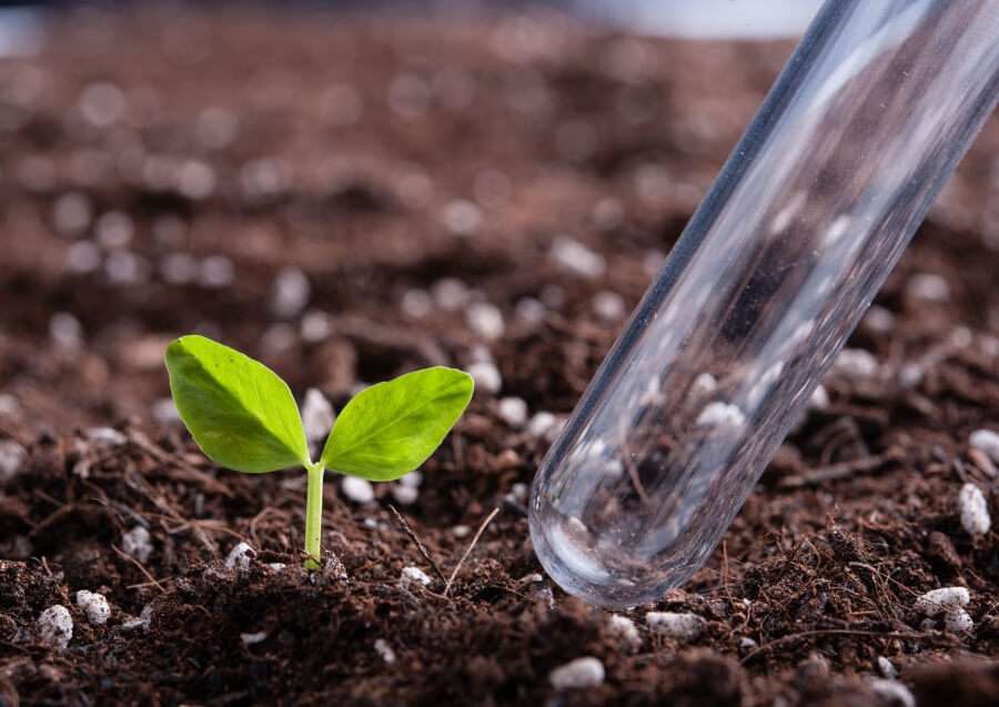 Обработка почвы удобрениями: значение, виды и применение