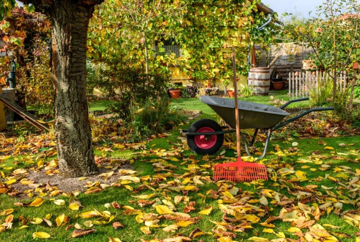 Подготовка сада к зиме: полное руководство