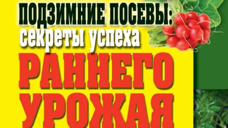 Подзимние посевы овощей: секреты раннего урожая