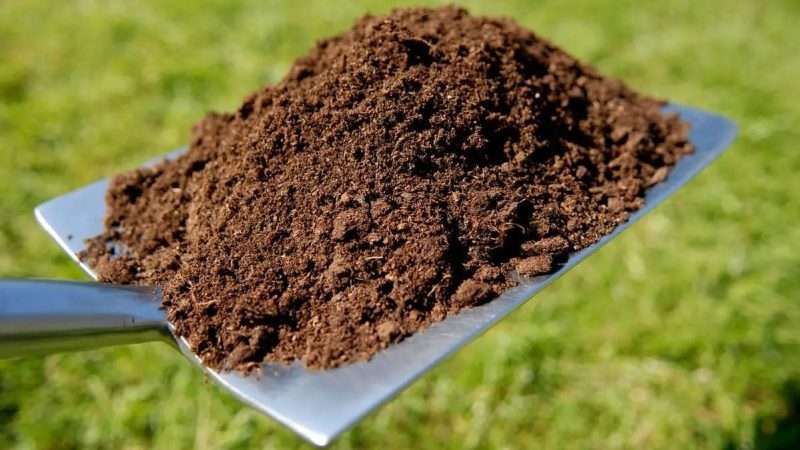 Преимущества удобрения почвы органическими удобрениями