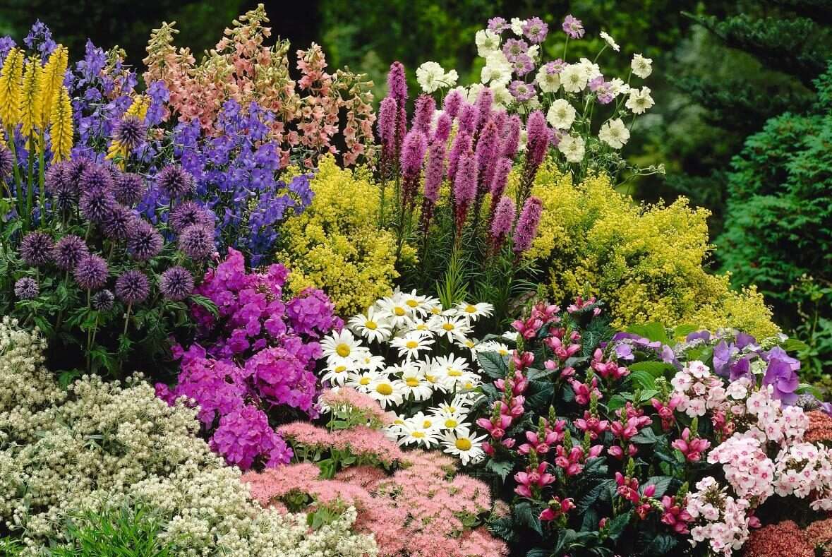 Создание цветника или клумбы из многолетних растений