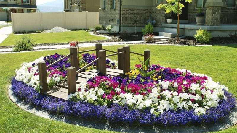 Создание цветника или клумбы своими руками: советы и рекомендации